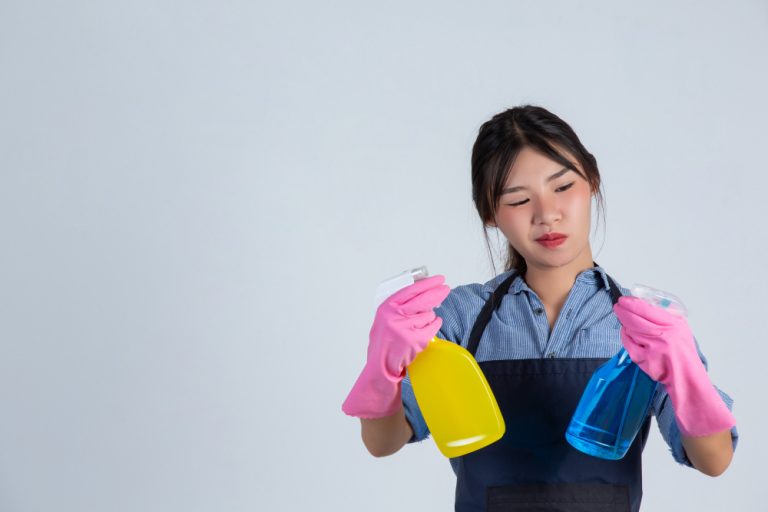 Maid Agency Fees in Singapore