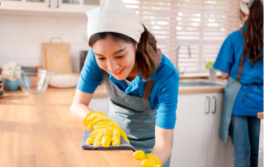 Tips to Evaluate a Maid Agency